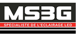 logo MS3G